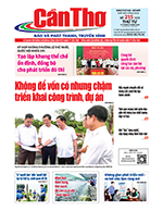 Số 215, Thứ Tư (12/08/2026)