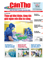 Số 221, Thứ Ba (18/08/2026)