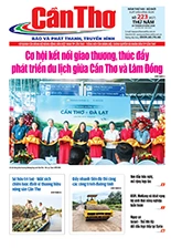 Số 223, Thứ Năm (20/08/2026)