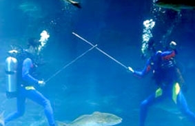 Olympic dưới nước