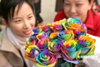 Hoa hồng cho ngày Valentine