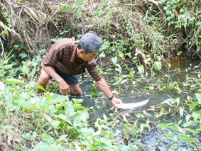 Canh cánh nỗi lo