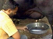Bò tự vắt... sữa