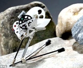 Robot châu chấu