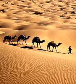 Nắng sa mạc Sahara có thể thắp sáng toàn châu Âu