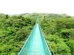 Costa Rica quyết tâm “không thải CO2”
