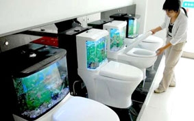 Vừa “giải sầu” vừa ngắm cá