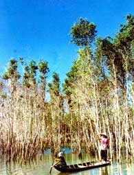 Nghĩ về "tam công" thời mở đất...