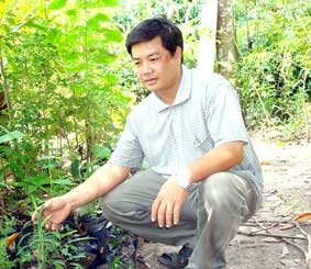 Lương y Nguyễn Thiện Chung gìn giữ từng cây thuốc