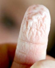 101 Câu hỏi hay nhất mọi thời đại (Kỳ 2)