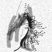 Hạ hồng
PHAN THÀNH MINH 