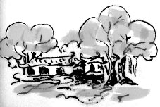 Rượu tình