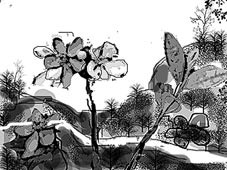 Đồng đội 
với màu 
hoa Sim tím