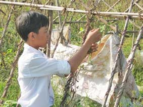 Cậu bé nghèo "ăn dưa leo" đến lớp
