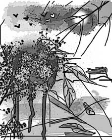 Sông hát 
cho người