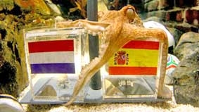 Bên lề World Cup