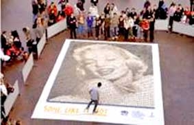 Chân dung Marilyn Monroe bằng 5.200 tách cà phê sữa