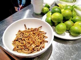 Tiệc côn trùng