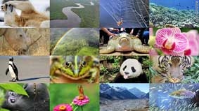 Báo động đỏ về khủng hoảng đa dạng sinh học toàn cầu