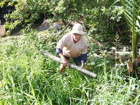Nghề đặt trúm