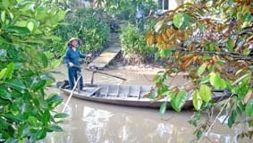 Tìm hiểu một số thuật ngữ về đất 
ở Đồng bằng sông Cửu Long