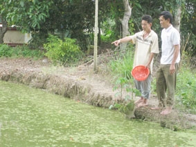 Phơi nắng cũng có lợi cho da?
