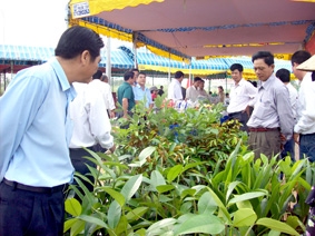 Mỹ Khánh tiên phong xây dựng nông thôn mới