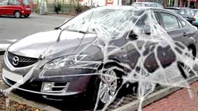 Thu hồi xe vì 
mạng nhện
