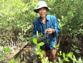 Bẫy cá thòi lòi