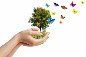 Bạn làm gì cho ngày Trái đất 2011?