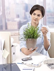 Nên đặt cây cảnh trên bàn làm việc