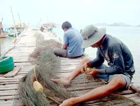 Đảo 7 nhà