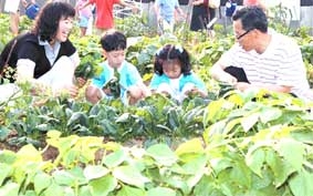 Sống chậm nhưng không chậm !