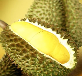 Sầu riêng giàu dưỡng chất hơn bạn nghĩ