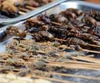 Châu Âu xem xét việc 
ăn côn trùng