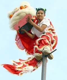Cô gái Cần Thơ múa lân trên cột và mai hoa thung