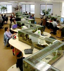 Văn phòng làm việc độc đáo
