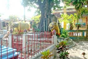 Huyền thoại Thới Sơn