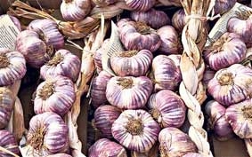 Tỏi giúp chống ngộ độc 
thực phẩm