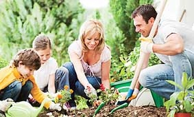 Tại sao sống cách biệt với thiên nhiên khiến chúng ta dễ bệnh ?