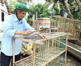 Cùng xây dựng nông thôn mới !