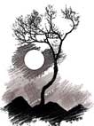 Tam Đảo 
trong tôi