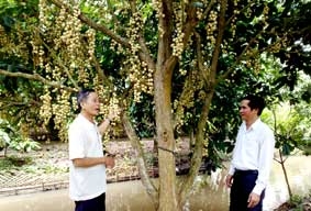 Trên 858,6 triệu đồng xây dựng và nhân rộng mô hình sản xuất hiệu quả