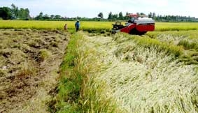 Khai thác thế mạnh xây dựng nông thôn mới