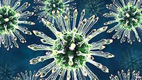 Phát hiện “siêu kháng thể” chống HIV