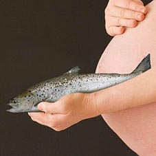 Ăn cá giúp bà bầu giảm lo lắng, căng thẳng