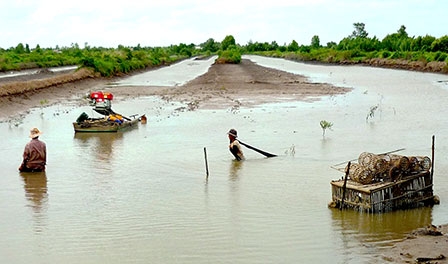 Bán đảo Cà Mau 

Giữa đôi dòng mặn - ngọt