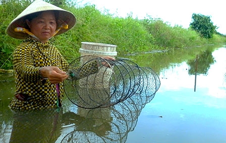 Bán đảo Cà Mau 

Giữa đôi dòng mặn - ngọt