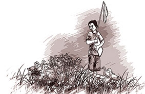 Thằng bé 

   chăn vịt