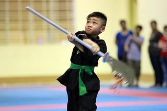 Để bộ môn Võ cổ truyền thành phố phát triển ổn định
